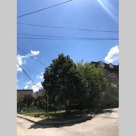 פרישטינה Cozy Apartment In The Old Center Of Prishtina מראה חיצוני תמונה