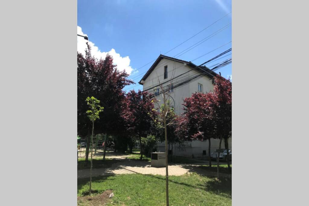 פרישטינה Cozy Apartment In The Old Center Of Prishtina מראה חיצוני תמונה
